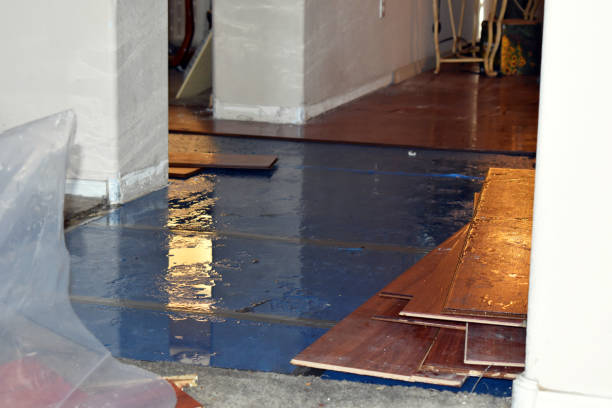 Professional Basement Flood Cleanup technician working in Ludington, MI